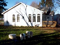 rear view with dogs